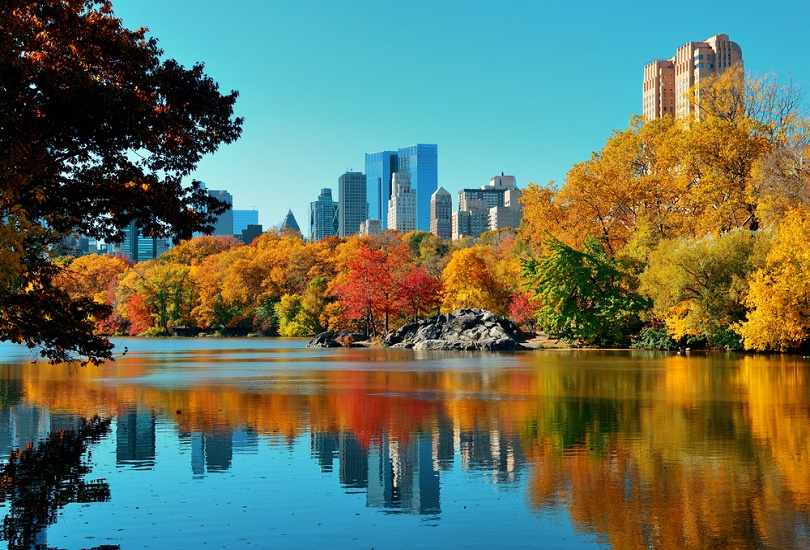 CENTRAL PARK