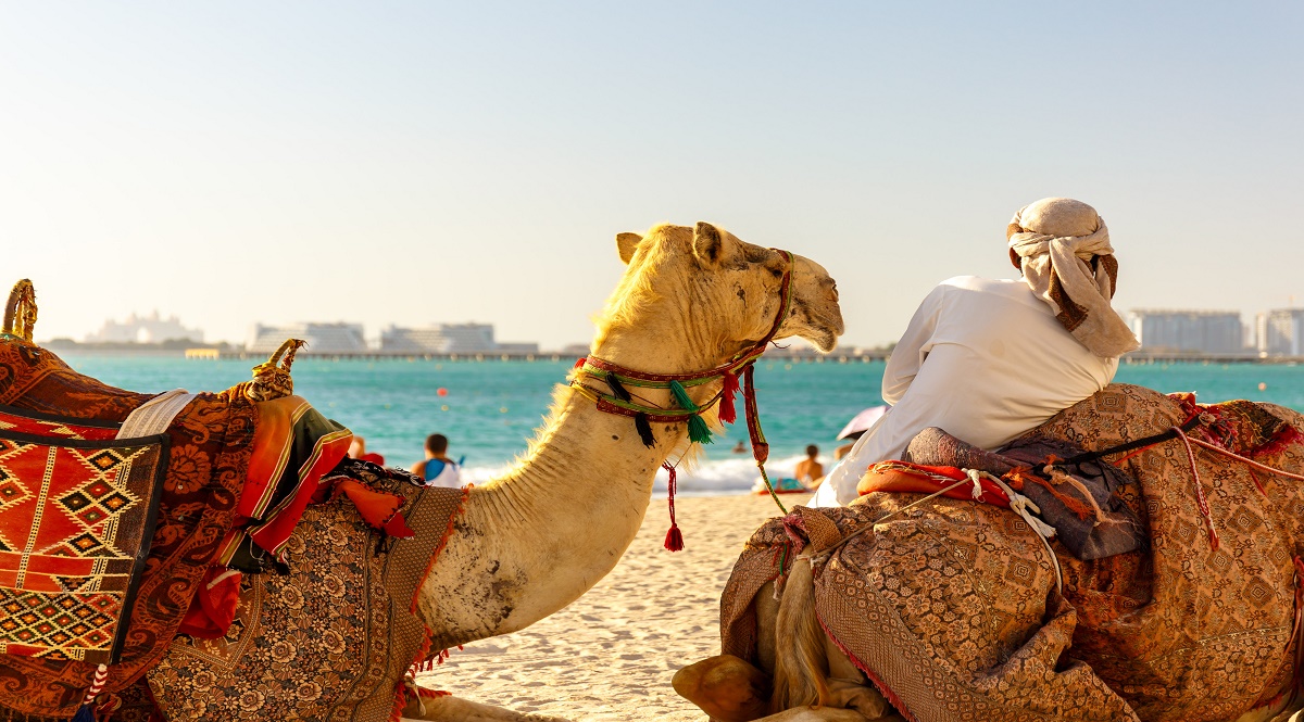 Things to do in Dubai