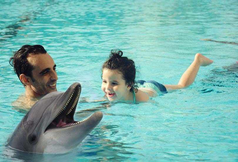 DOLPHIN BAY
