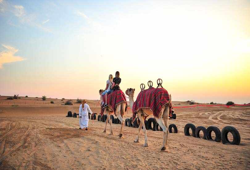 DUBAI CAMEL SAFARI IN THE DESERT