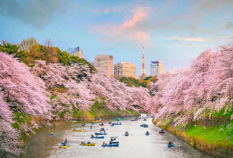 Tokyo, Japan