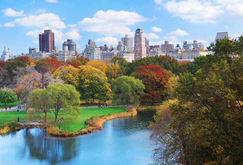 Fun and Frolic at Central Park
