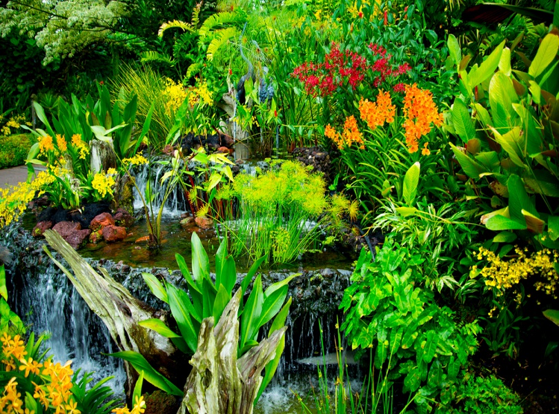 BREATHE FRESH AT NATIONAL ORCHID GARDEN