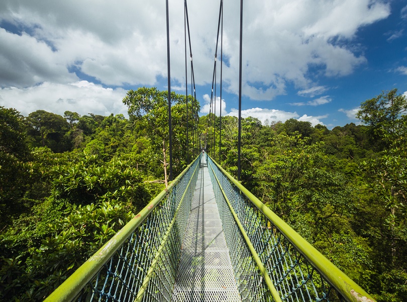 THRILLING TREE-TOP WALK AT MACRITCHIE RESERVOIR