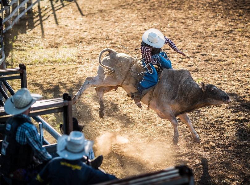 Bull Riding in Costa Rica
