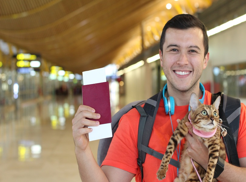 Fly with pets