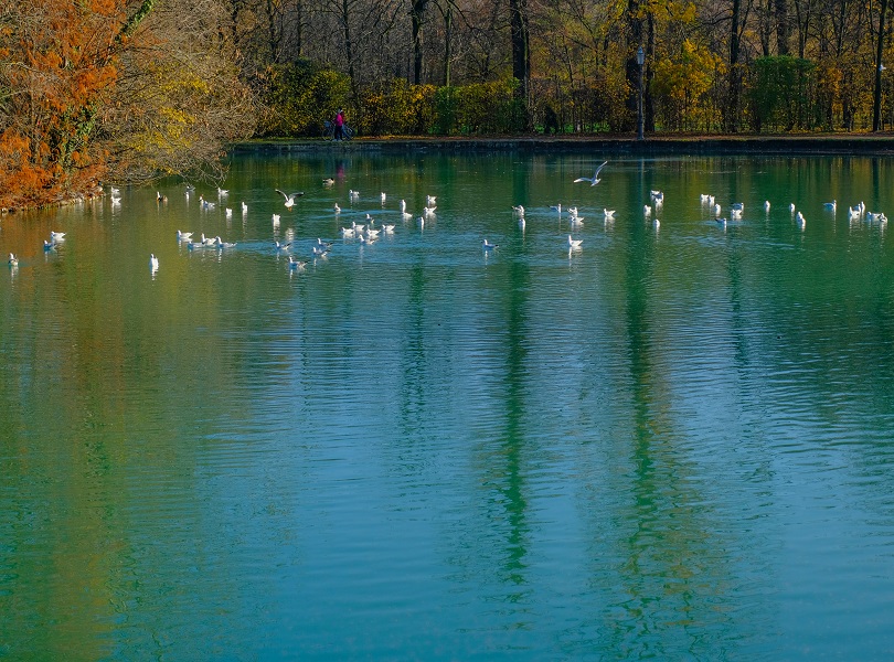 Unwind at Parco Ducale