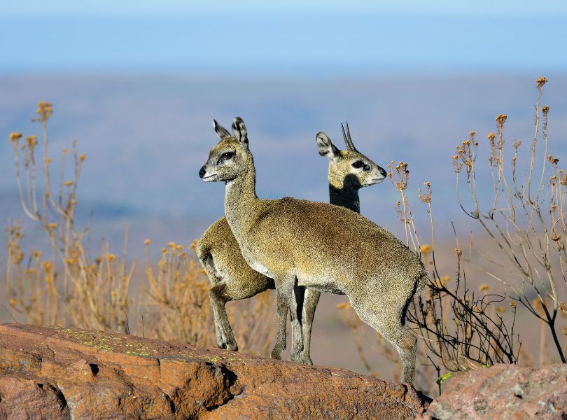 Marakele National Park