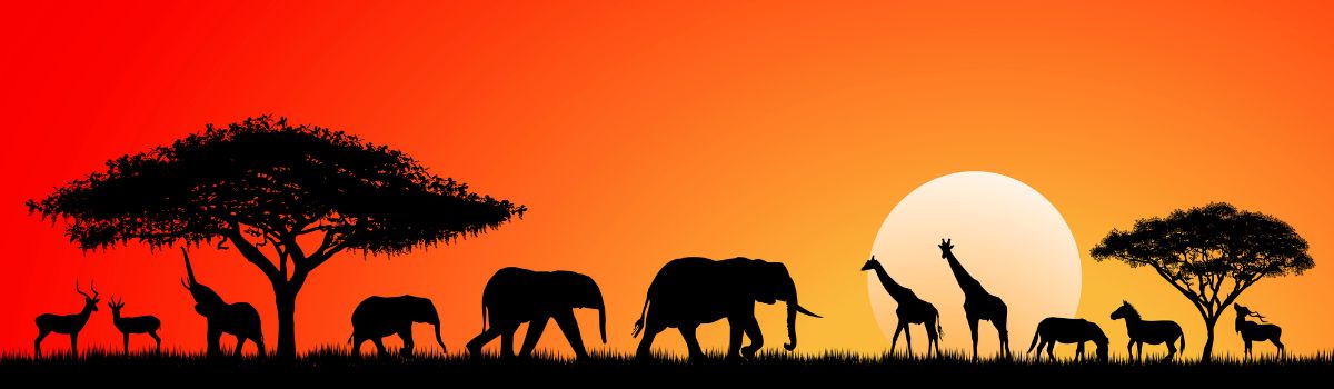 South Africa's National Park