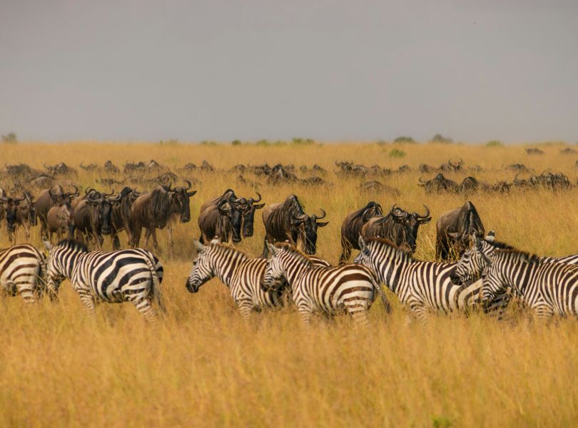 Wilderness National Park