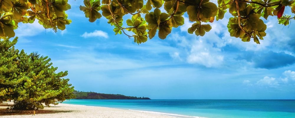 Grand Anse, Grenada