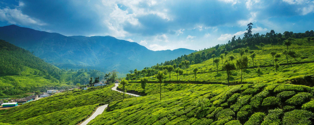 MUNNAR