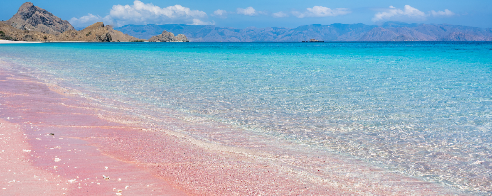 Pink, Indonesia