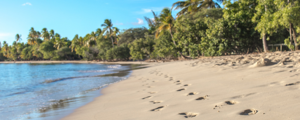 Salines, Martinique