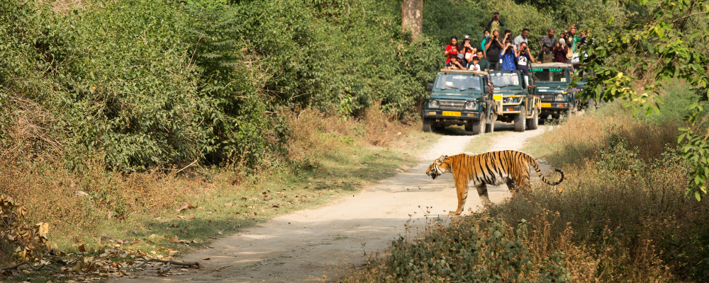 Jim Corbett