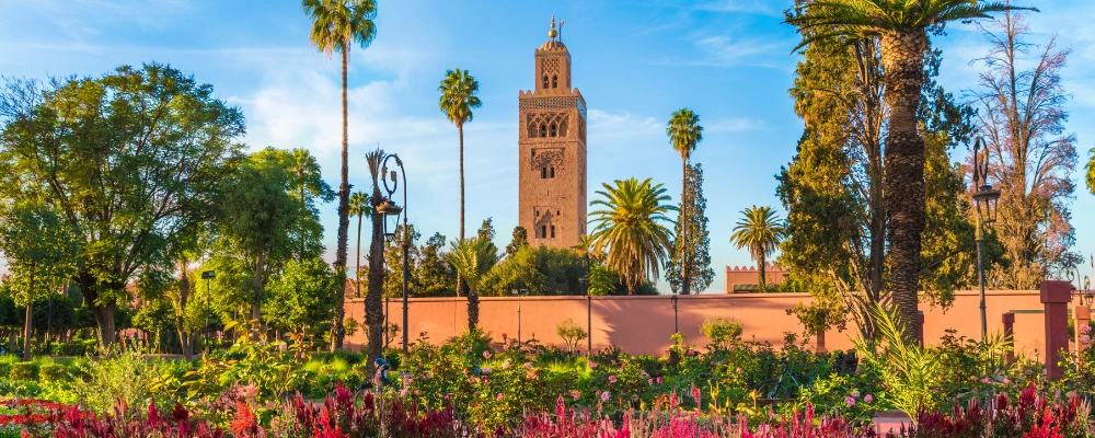 Best things to do in Marrakesh