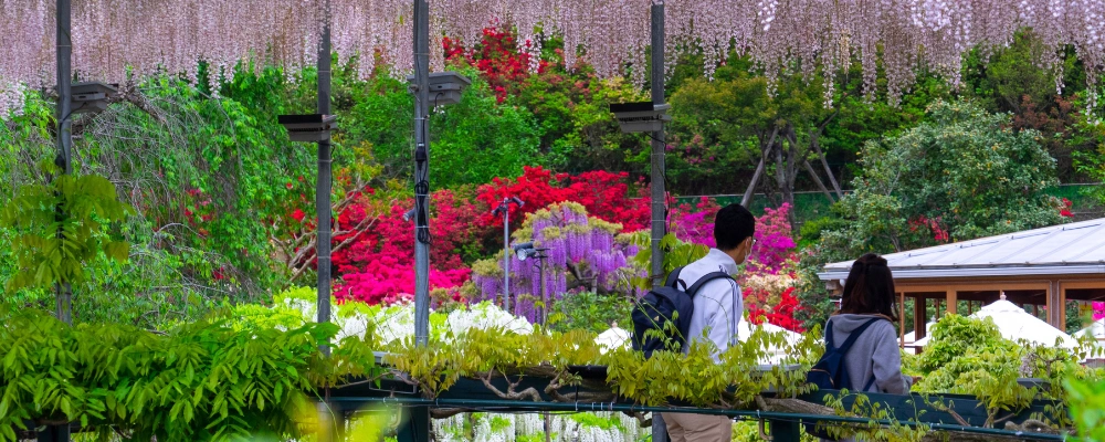 Hakone