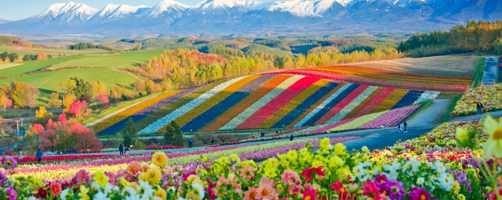 Hokkaido