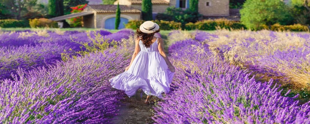 Provence