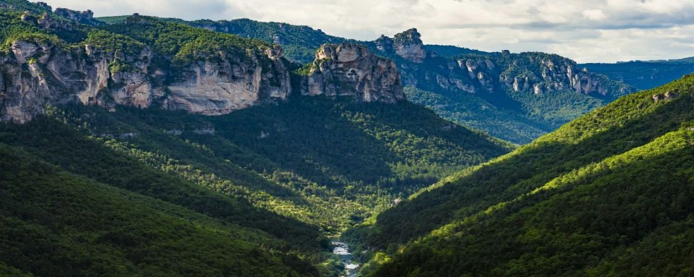 Tarn Canyon