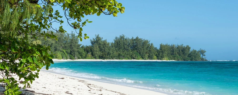 Denis Island