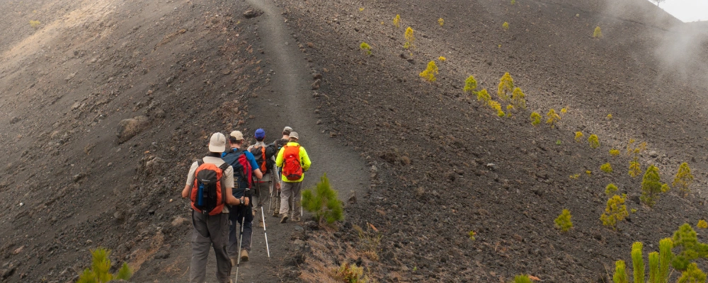 Canary Islands in January