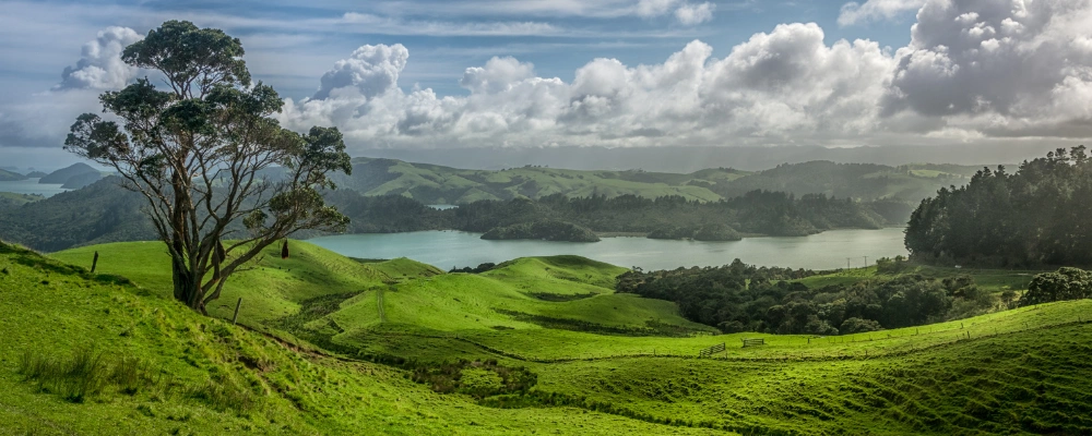 Northland, New Zealand