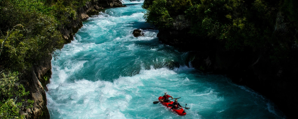 Waikato, New Zealand