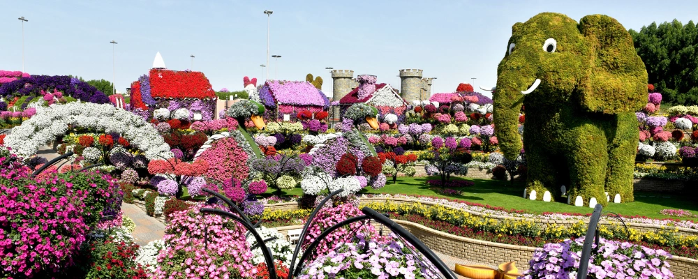Dubai Miracle Garden