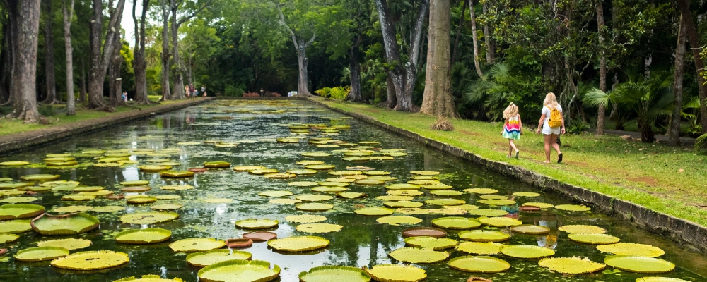 Top 10 Things to Do in Mauritius