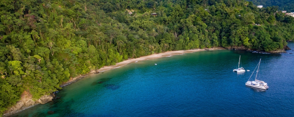 Best Time to Visit Trinidad and Tobago