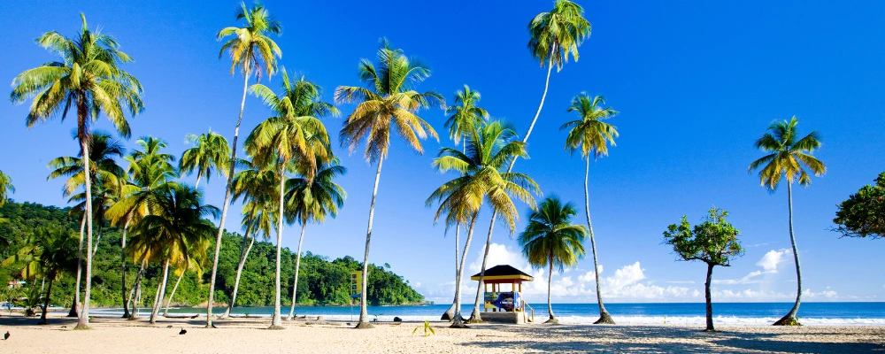 Maracas Bay