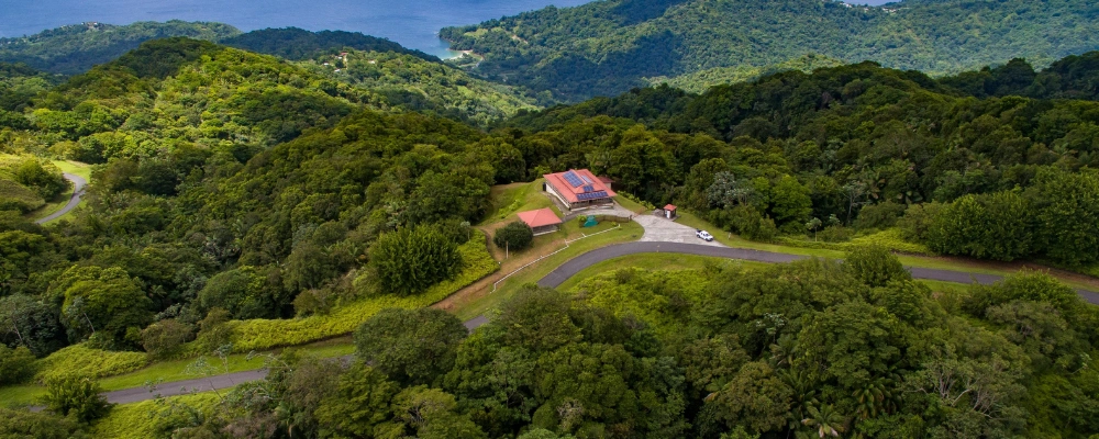 Ridge Forest Reserve