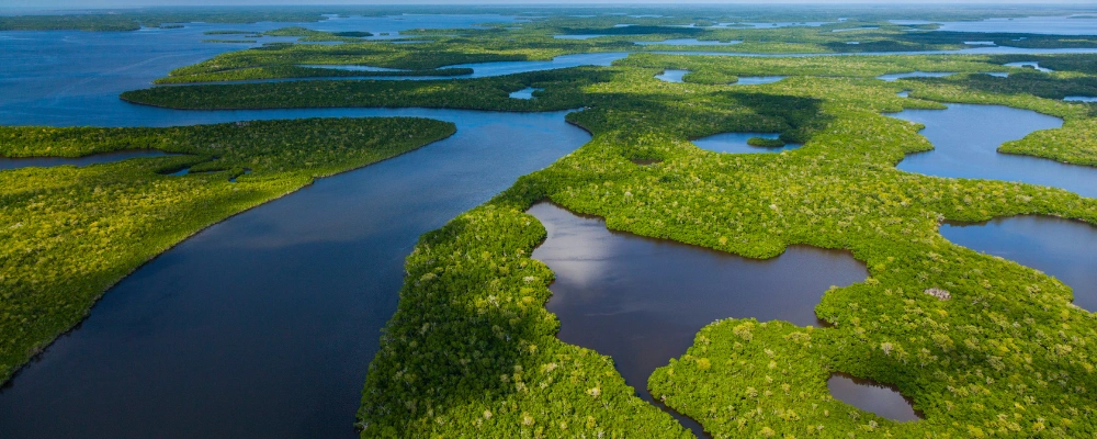 Everglades National Park