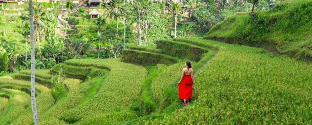 Best Places to Visit in Bali
