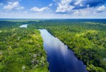 Amazon rainforest in Brazil Amazon rainforest in Brazil